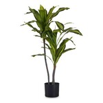 NEW Dekorativna rastlina Širok list Zelena Plastika (60 x 90 x 60 cm)
