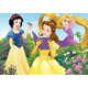 WEBHIDDENBRAND EDUCA Puzzle Disneyjeve princese: Sneguljčica, Bella in Locika 100 kosov