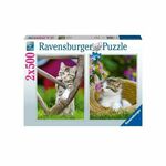 WEBHIDDENBRAND RAVENSBURGER Sestavljanka Mačke na deželi 2x500 kosov