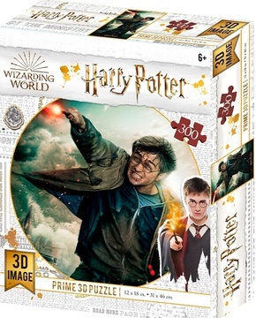 WEBHIDDENBRAND Harry Potter 3D sestavljanka - Harry Potter 300 kosov