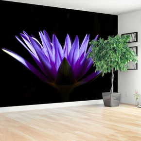 Tulup.si Stenska fototapeta Purple lotus 250x104cm Netkani freski