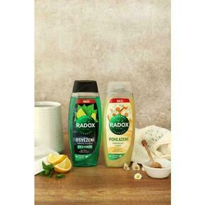 Radox Refreshment Menthol And Citrus 3-in-1 Shower Gel osvežilen gel za prhanje 450 ml za moške