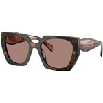 Prada PR15WS 23A60B ONE SIZE (54) Večbarvna/Rjava