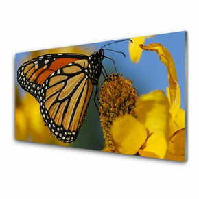 Tulup.si Slika na steklu Butterfly cvet narava 100x50 cm