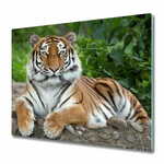 tulup.si Steklena podloga za rezanje Sibirski tiger 60x52 cm