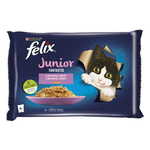 Felix hrana za mačke Fantastic Junior s piščancem in lososom v želeju, 12 (4x85 g)