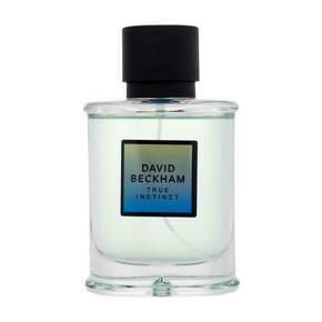 David Beckham True Instinct 75 ml parfumska voda za moške true