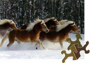 WEBHIDDENBRAND D-TOYS Puzzle Horse Magic: Hafling na snegu 239 kosov