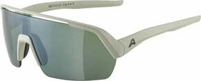 Alpina Turbo HR Q-Lite Cool/Grey Matt/Silver Športna očala