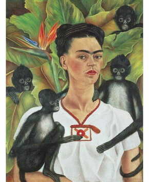 WEBHIDDENBRAND PIATNIK Puzzle Frida Kahlo 1000 kosov