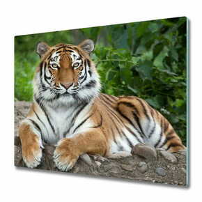 Tulup.si Steklena podloga za rezanje Sibirski tiger 2x30x52 cm