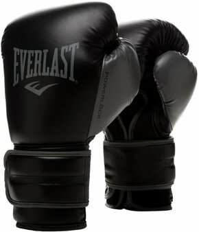 Everlast Powerlock 2R Gloves Black 12 oz