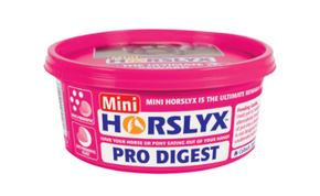 DERBY Horslyx Pro Digest - 650 g