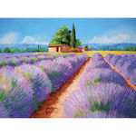 Clementoni puzzle 500 HQC, Lavender scent (35073)