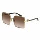 Dolce & Gabbana Timeless Collection DG2279 02/13 ONE SIZE (60) Zlata/Rjava