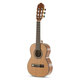 Klasična kitara 1/4 Pro Arte Maestro CM-25 Gewa