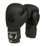 DBX BUSHIDO boksarske rokavice DBX BUSHIDO B-2v12 6 oz.