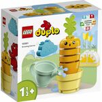 LEGO DUPLO 10981 Pridelava korenja