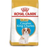 Royal Canin briketi za pse Cavalier King Charles Puppy 1,5 kg