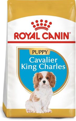 Royal Canin briketi za pse Cavalier King Charles Puppy 1