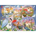 Cobble Hill Puzzle Očarljive vodne ptice 1000 kosov