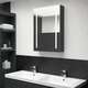 vidaXL LED kopalniška omarica z ogledalom sijoče črna 50x13x70 cm