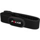 Polar Senzor srčnega utripa H10 - M-XXL