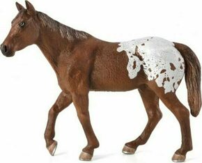 Mojo Appaloosa žrebec hnedý