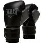 Everlast Powerlock 2R Gloves Black 14 oz