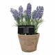 Umetna rastlina (višina 17,5 cm) Lavender – Esschert Design