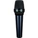 LEWITT MTP 550 DM Dinamični mikrofon za vokal