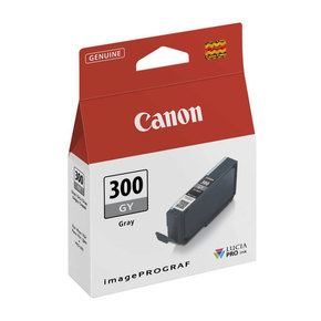 CANON PFI-300 (4200C001)