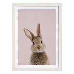 Stenska slika v okvirju Querido Bestiario Baby Rabbit, 30 x 40 cm