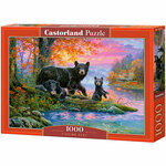 WEBHIDDENBRAND CASTORLAND Puzzle Medvedi na lovu 1000 kosov