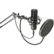 BST STM300PLUS mikrofon