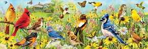 EuroGraphics Panoramska sestavljanka Vrtne ptice 1000 kosov
