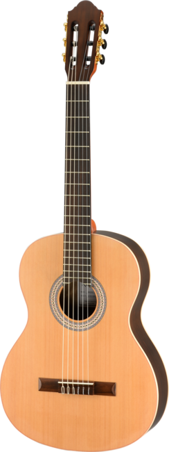Klasična kitara WAN430-S1W Walden