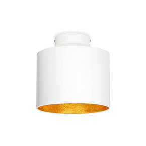 Bela stropna svetilka z detajli v zlati barvi Sotto Luce MIKA XS