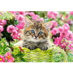 WEBHIDDENBRAND Puzzle Mačka v cvetličnem vrtu 500 kosov