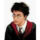 Zuty Barvanje po številkah Portret Harryja Potterja