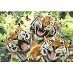 WEBHIDDENBRAND ANATOLIAN Tiger Selfie Puzzle 260 kosov