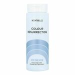 NEW Gel za Krepitev Barve Color Resurrection Montibello ISCR Ice Silver (60 ml)