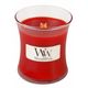 WEBHIDDENBRAND Ovalna vaza za sveče WoodWick, Ribez, 85 g