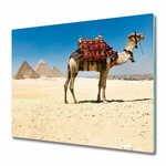tulup.si Steklena podloga za rezanje Camel v kairu 60x52 cm
