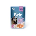 Brit Premium Cat Delicate Fillets in Gravy with Salmon za sterilizirane - 85 g