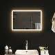 LED kopalniško ogledalo 60x40 cm