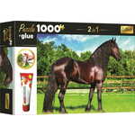 Trefl Set sestavljank 2 v 1 Frizijski konj 1000 kosov z lepilom