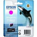 Epson T7603