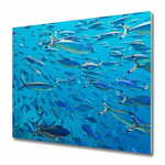tulup.si Steklena podloga za rezanje Coral ribe 2x30x52 cm