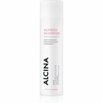 Alcina Color & Blond regeneracijski šampon za barvane lase 250 ml